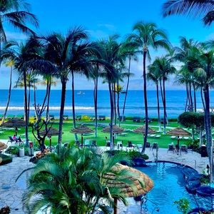 Meet your Posher, Jane